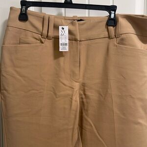 New York & Company pants